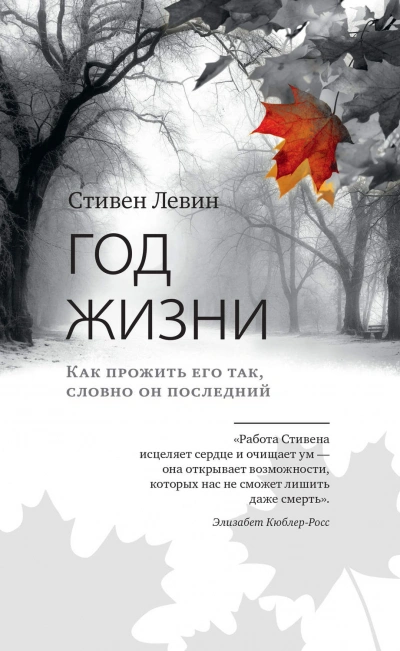 Год для жизни. Как прожить этот год, как последний - Стивен Левин